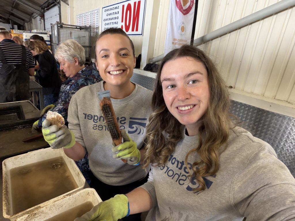 Members of the Stronger Shores team cleaning oysters before deployment