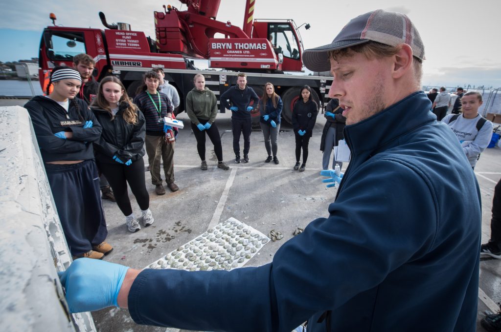 A member of staff from the Wild Oysters Project giving a demonstration of sticking oysters to the specially designed reef cubes. Photo Credit - Gilbert Johnson